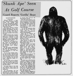 Image result for skunk ape sighting cary kanter police palm beach florida 1974