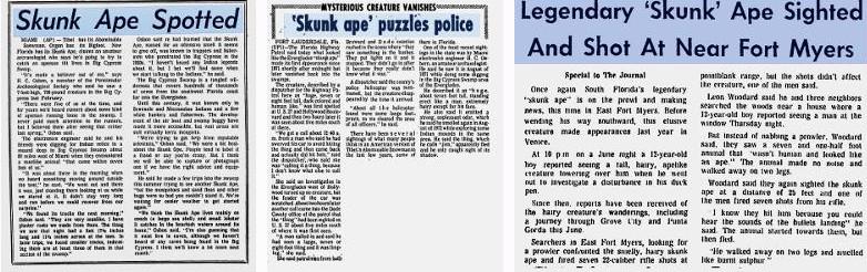 Image result for skunk ape sighting cary kanter police palm beach florida 1974