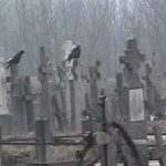 Cimetière Petre Toma