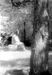 La Madone de Bachelor's Grove