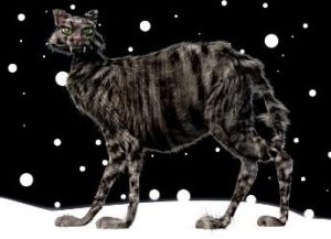 Yule, le Chat de Noël