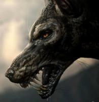 Chien Maléfique Chien Maléfique