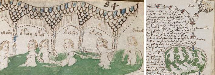 Femmes dans un Bassin