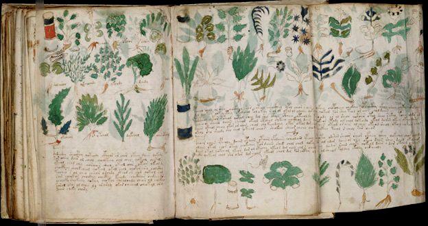 Le Manuscrit de Voynich Le Manuscrit de Voynich