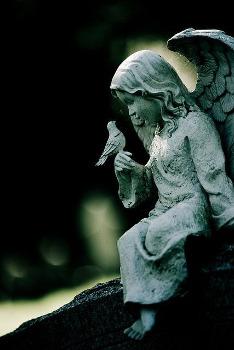 L'Ange et l'Oiseau
