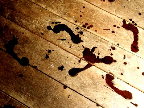 Traces de Pas